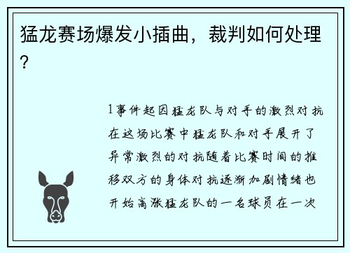 猛龙赛场爆发小插曲，裁判如何处理？